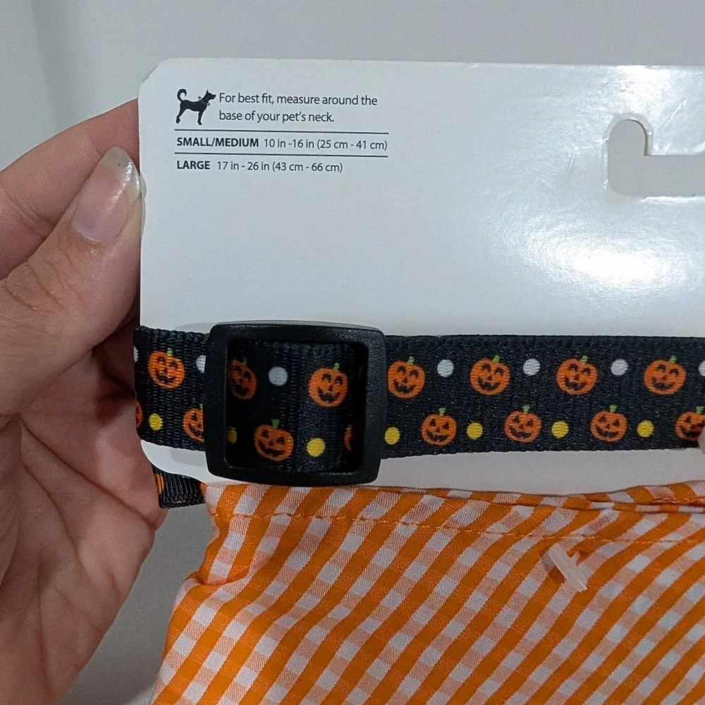 NWT Simply Dog Halloween Collar & Bandana Set - Orange and Black